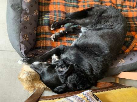 Rencontre agr�able