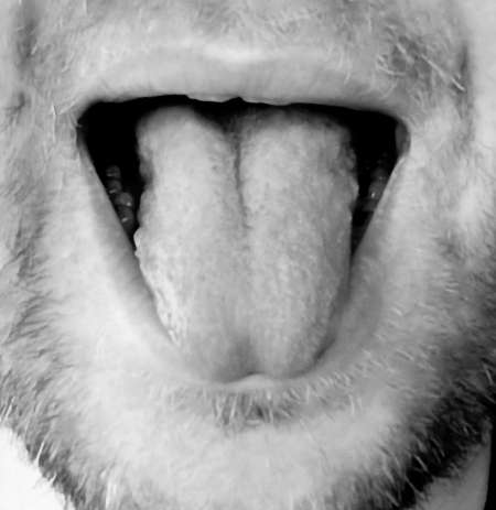 Une langue � ta disposition ;)