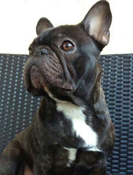 recherche belles jambes beaux pieds � savourer