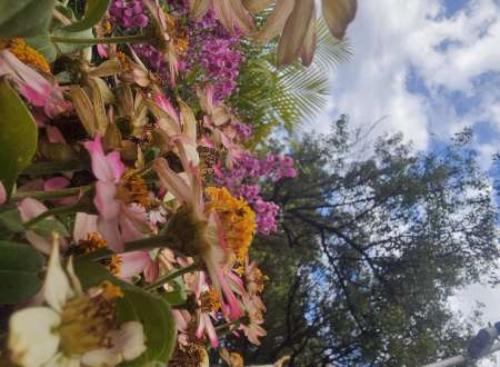 Jeunes femme recherche sugar daddy