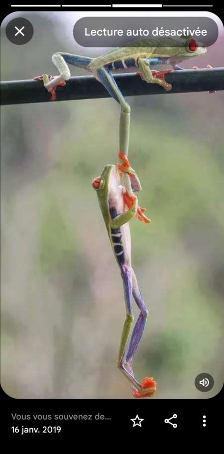 H.recherche jf.f. aux desirs intimistes