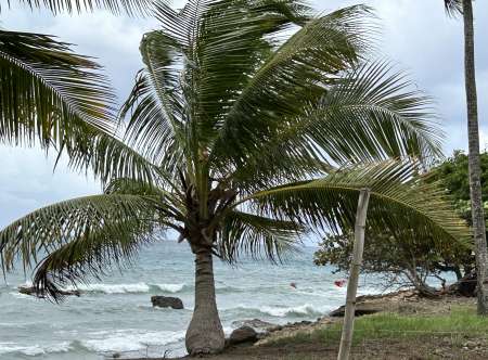 Massage tantrique douceur