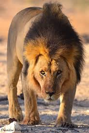 Cherche m�tro entre 18 et 30ans