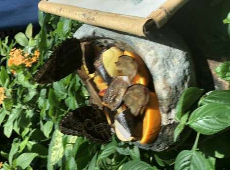 Homme, cherche femme pour passer des moments agr�a