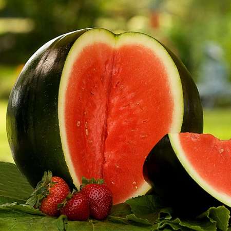 Jeune Sugga Daddy recherche �tre f�minin ...