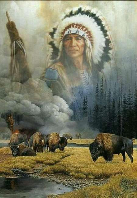 Premier exp�rience d�butant