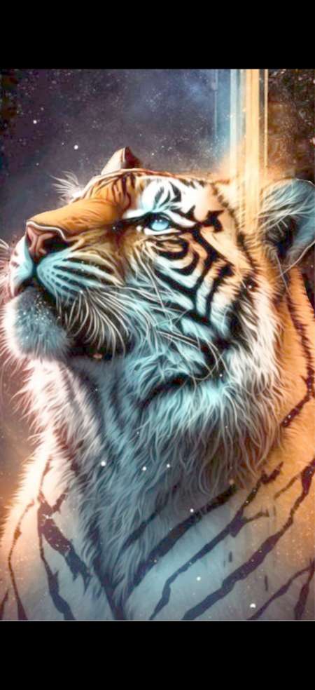  Homme cherche une femme