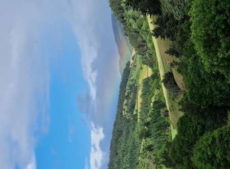 Cherche femme voluptueuse � tr�s forte poitrine