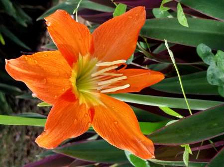 Soir�e entre couple le 12/07