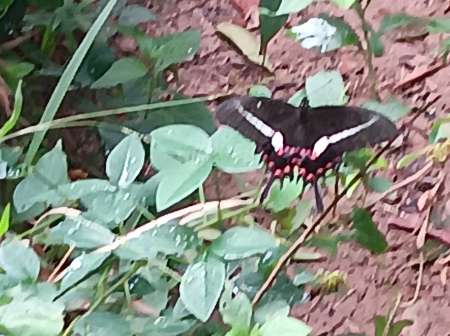 l�chages gratuit pour femme