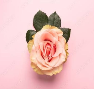 La perle d'Oran s�duisante