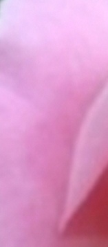 Pour femme qui veut joindre l'utile � l agr�able