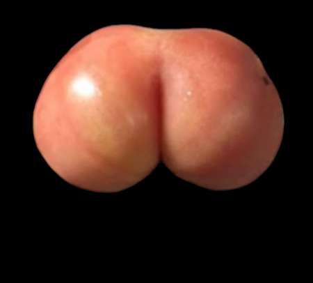 H�t�ro cherche gars bien mont� pour me d�puceler