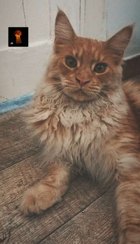 Je cherche a sucer pour la premi�re fois