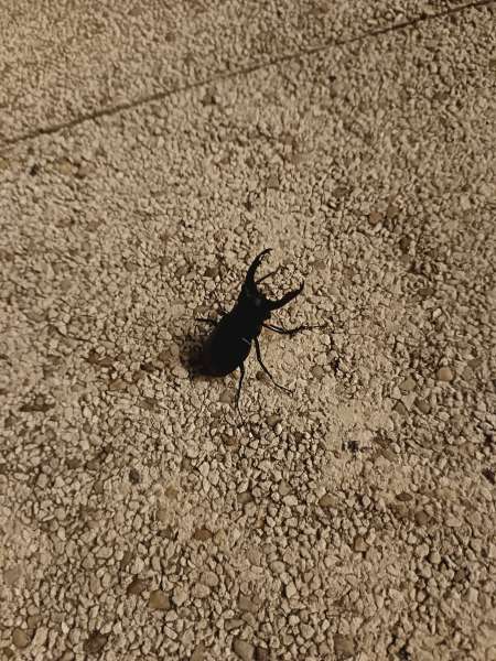 D�couvrir et partager, des personnes Open