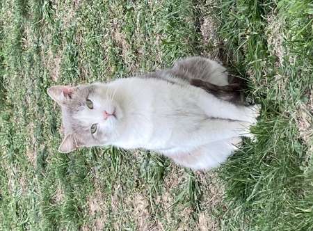 H de 63 ans cherche JF tr�s mince voir maigre