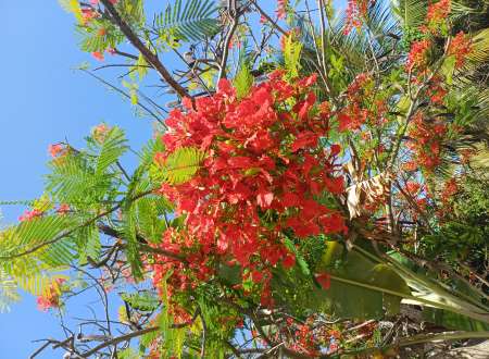 R�alis� vos orgasme fantasme et envie mes dames