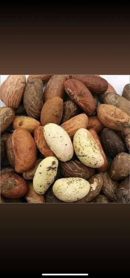 Stimulant sexuel noix de petit colas