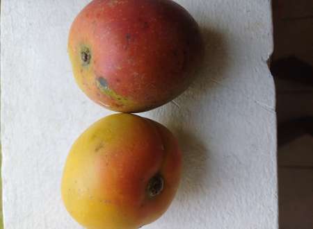 Sensation intense et d�sire pour femmes