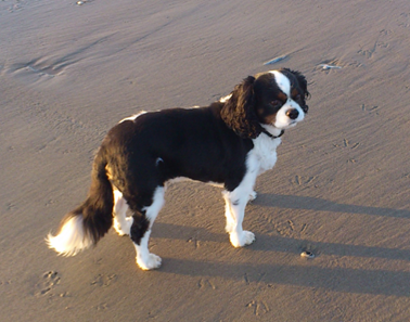 Cherche moneyslave bien �duqu�