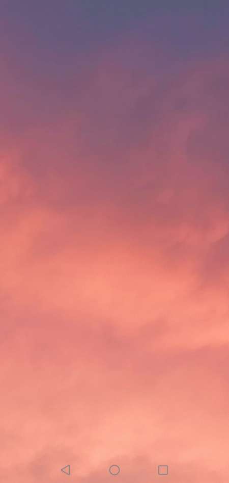 pour femme tatou� uniquement