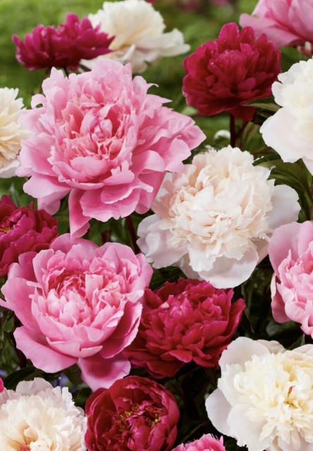 Recherche homme pour plaisir