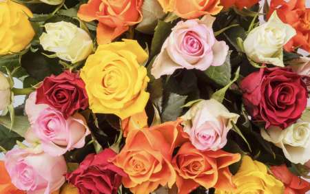 H De Lyon souriant & respectueux pour JF de Lyon