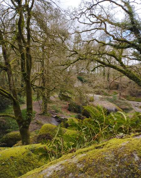  Homme pour femme mure