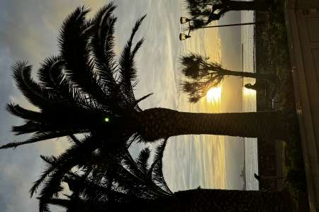 Cherche �tudiantes sympa