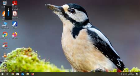 METIS TBM BI ACTIF POUR HOMMES FEMMES OU TRANS