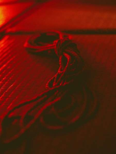 Fantasme BDSM et SHIBARI