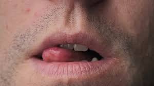 je leche vos chattes