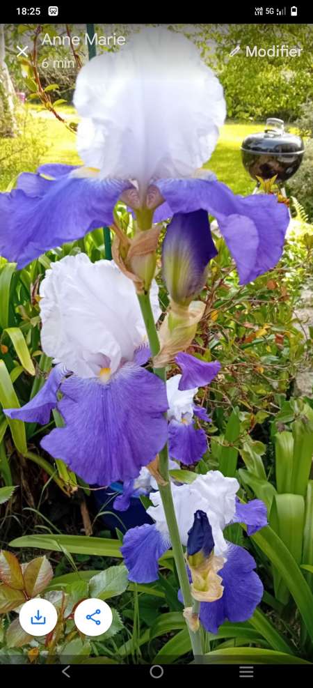 Homme 45 ans propose massage