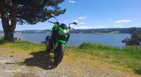 Jeune hommes pour mesdames