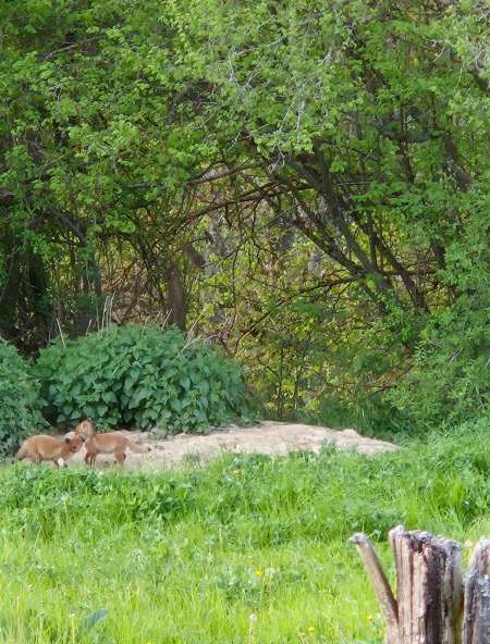 Pour femmes d'�ge m�r insatisfaite