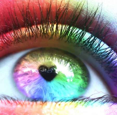 ON SE FAIT REPAS CHATTE ......