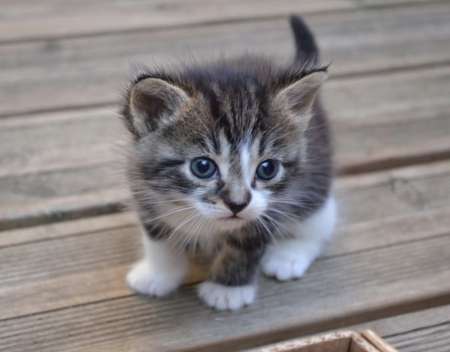 Soir�e coquine pour jour de l an/ h pour une f