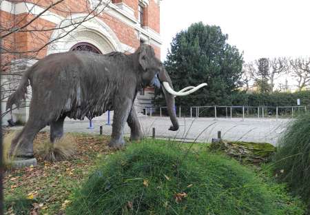 Je recherche une femme m�re