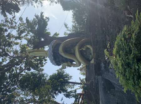 Rencontre femme d�laiss�e ou en manque