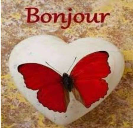 Cunni en douceur sans limite