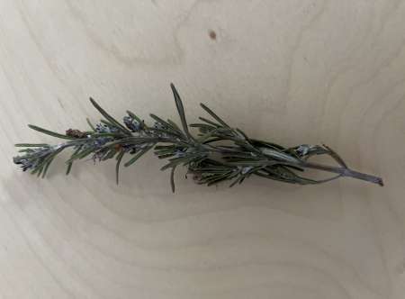 Moment partag� pour femme