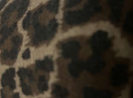 Cherche une ma�tresse pour duo