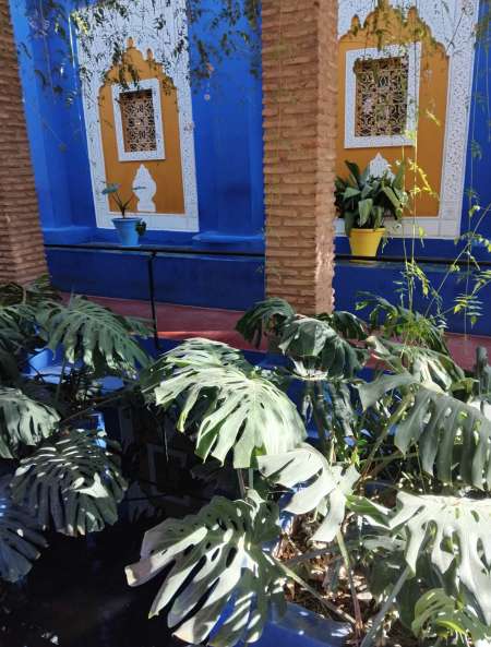 Passif cherche actif chaud