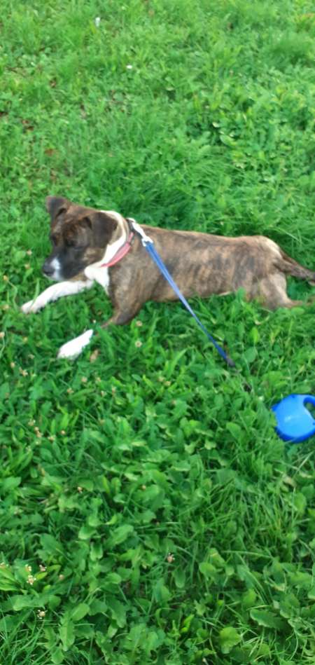 Cherche femmes ou couples bi pour rencontres coqui