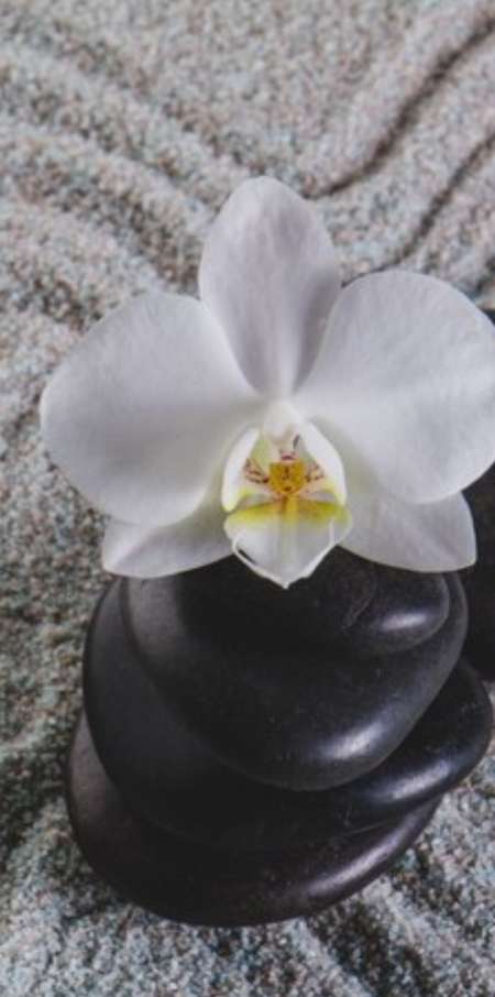 Masseur pour H (bien �tre)