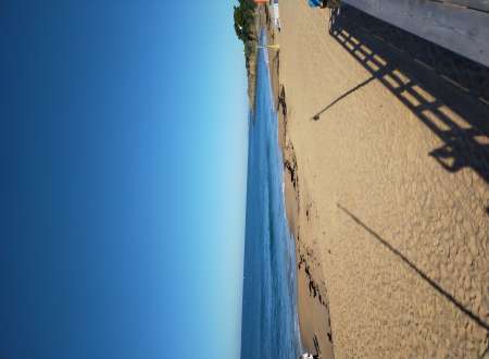 Un peu d'audace et de curiosit�