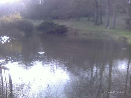 Je suis a la recherche d une femme