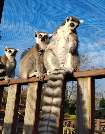 Papa gentil et respectueux