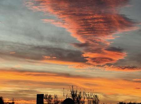 Cunilingus / anulingus