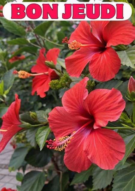 Rencontrer des femmes pour du plaisir et du bonheu